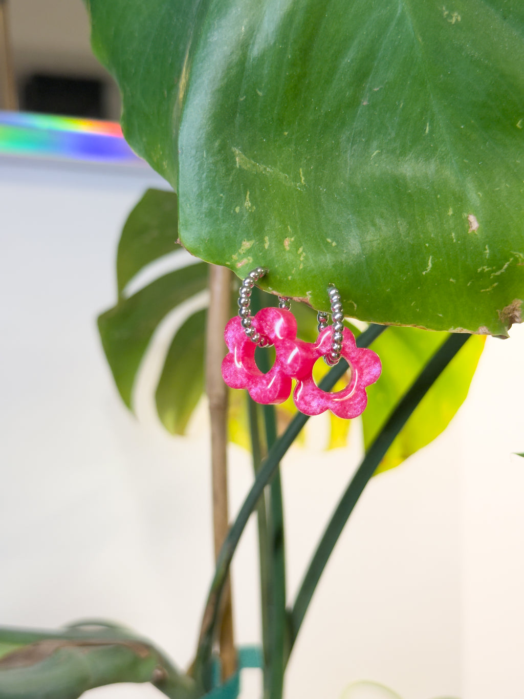 Les "Pink Lady"