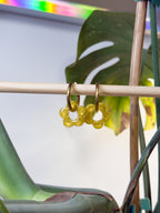 Les "Trendy Lemon"